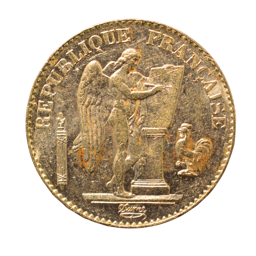 20 франків Génie 1896 Франція