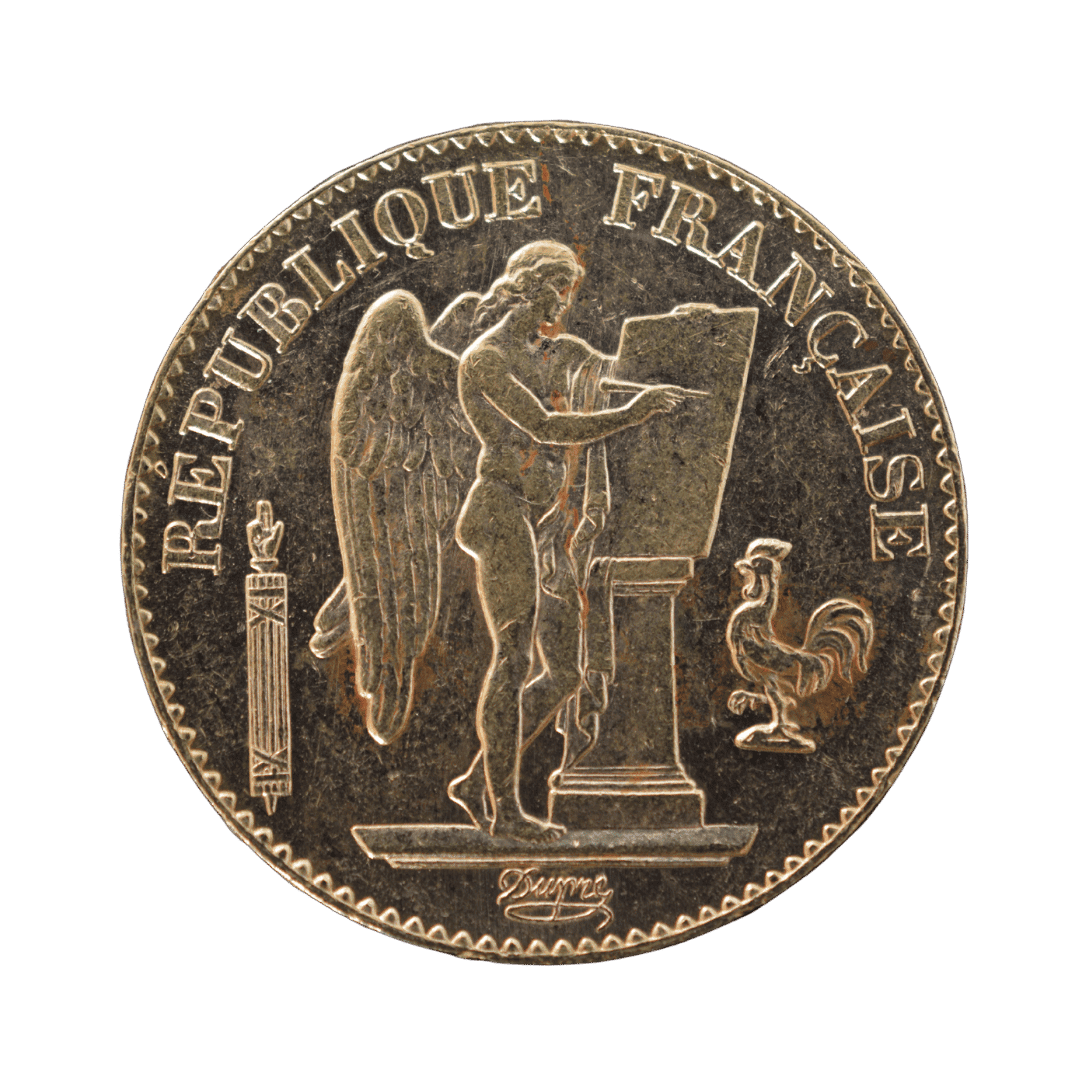 20 франків Génie 1896 Франція