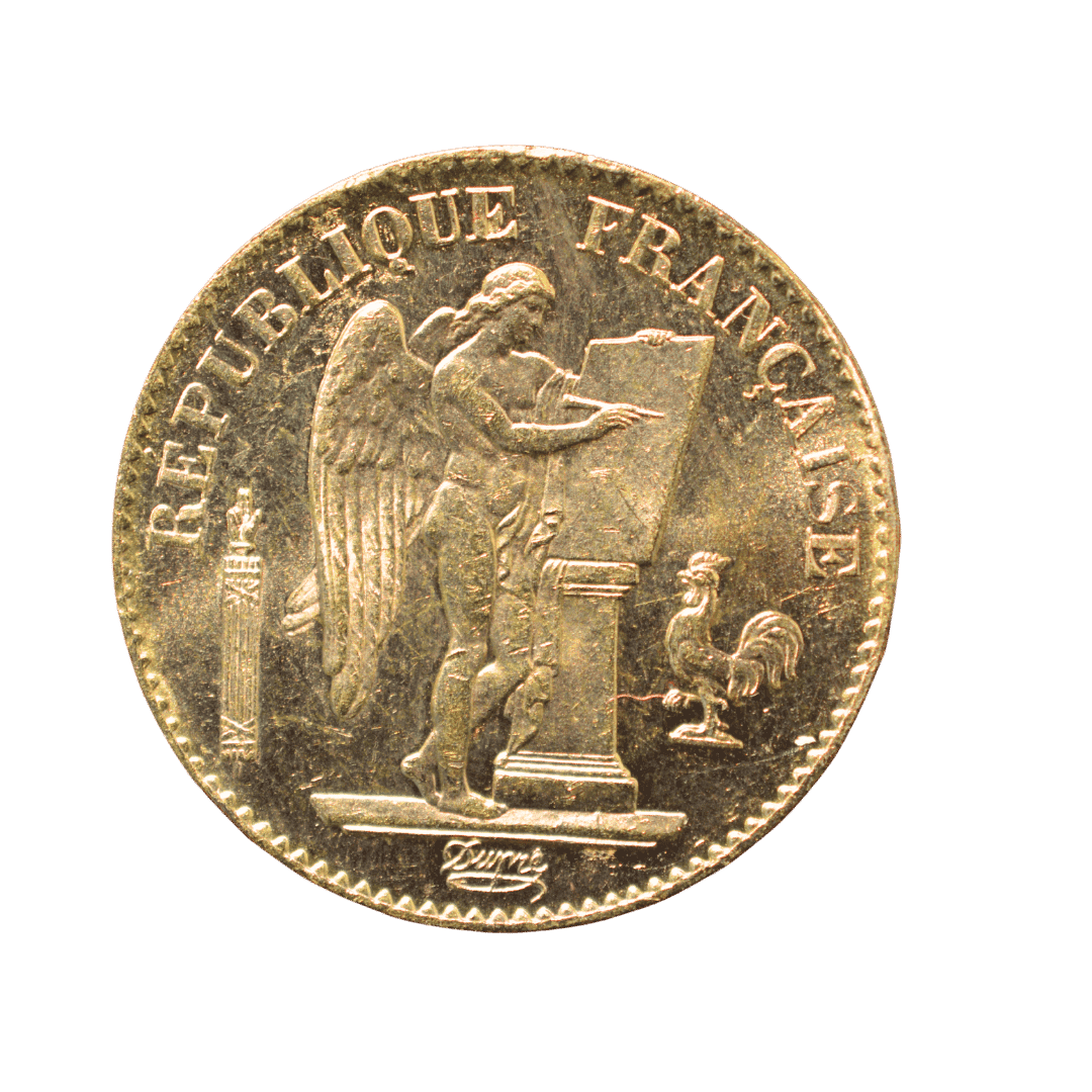 20 франків Génie 1896 Франція